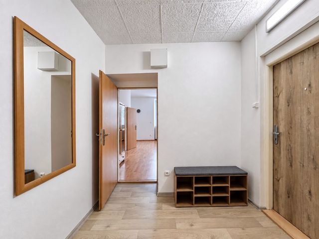 Velkolepý byt 2+kk s 90 m² a 3 m vysokými stropy — fotografie 36