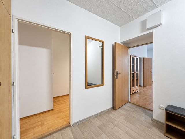 Velkolepý byt 2+kk s 90 m² a 3 m vysokými stropy — fotografie 33